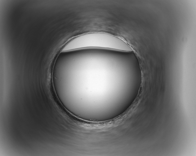 X0000088870005200706080730