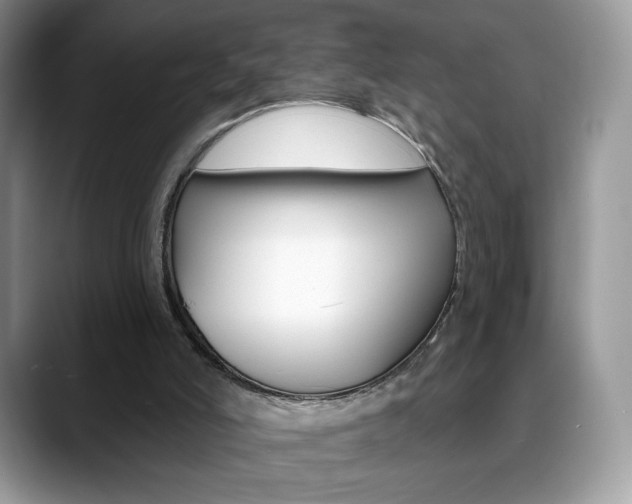 X0000088870006200706080730