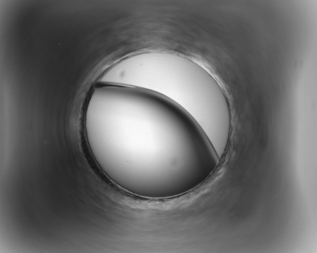 X0000088870007200706080730