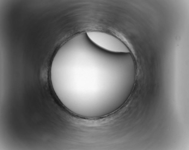 X0000088870010200706080730