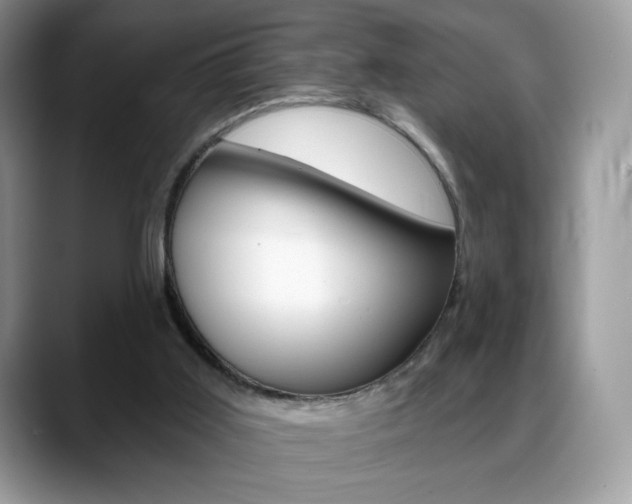 X0000088870011200706080730