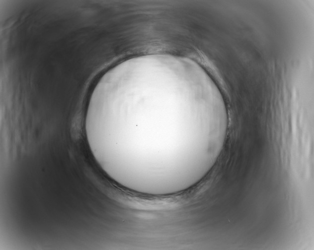 X0000088870012200706080730