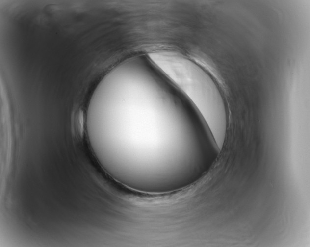 X0000088870013200706080730