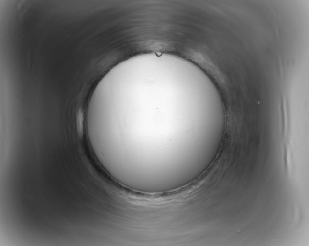 X0000088870014200706080730