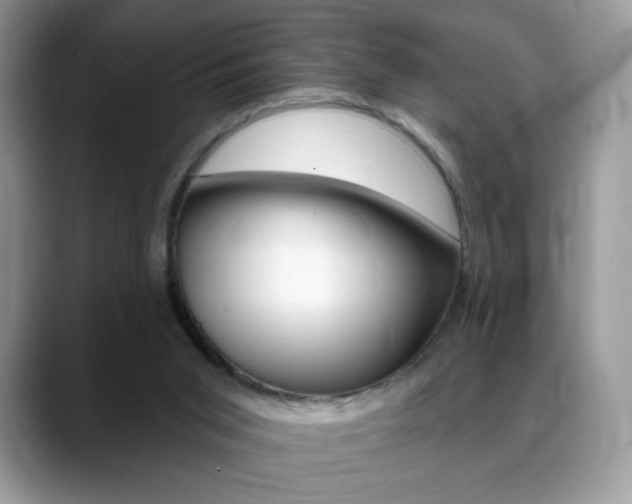X0000088870015200706080730