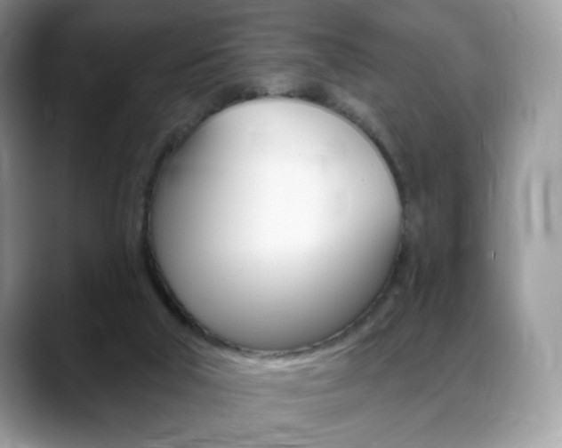 X0000088870018200706080730