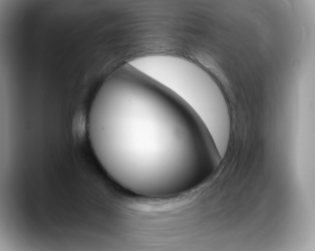 X0000088870021200706080730