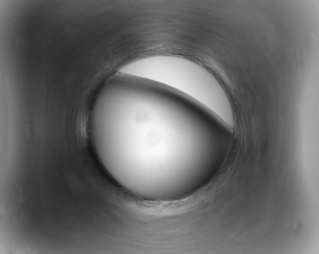 X0000088870023200706080730
