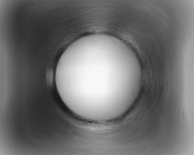 X0000088870024200706080730