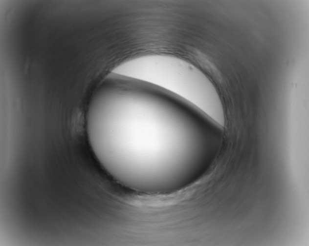 X0000088870025200706080730