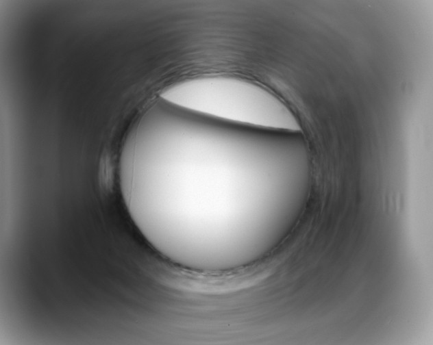 X0000088870026200706080730