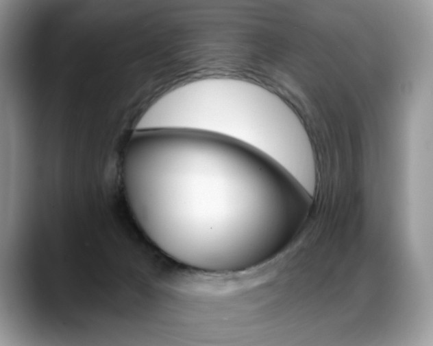 X0000088870029200706080730