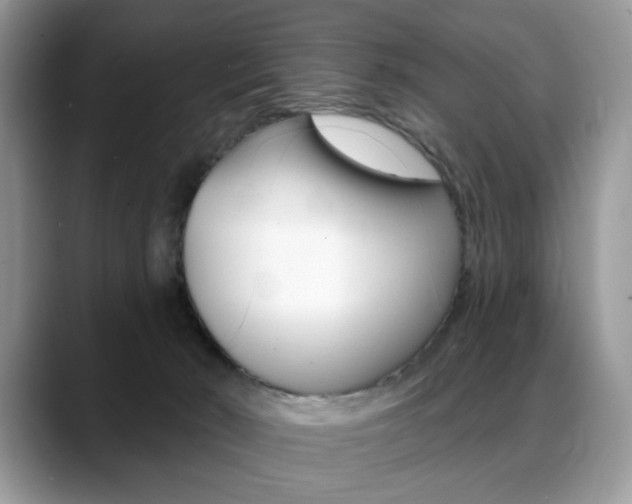 X0000088870030200706080730