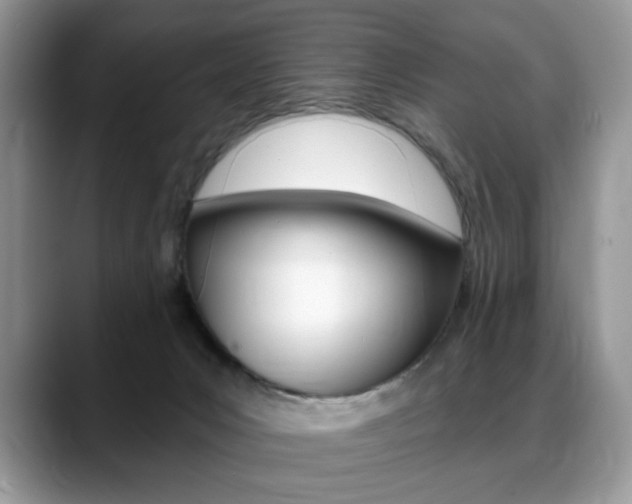 X0000088870031200706080730