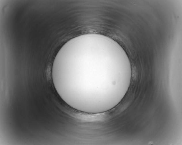 X0000088870036200706080730