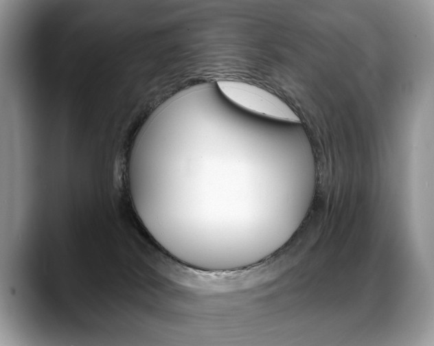 X0000088870038200706080730