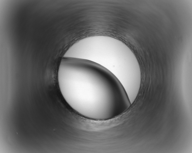 X0000088870039200706080730