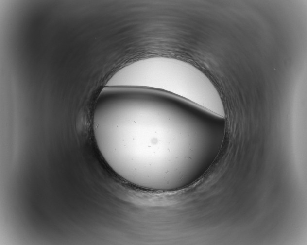 X0000088870040200706080730