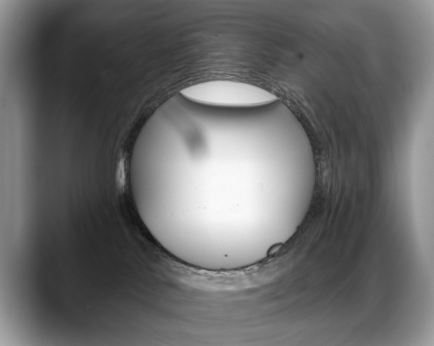 X0000088870042200706080730