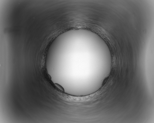 X0000088870043200706080730