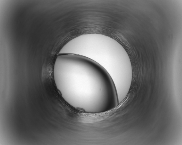 X0000088870045200706080730