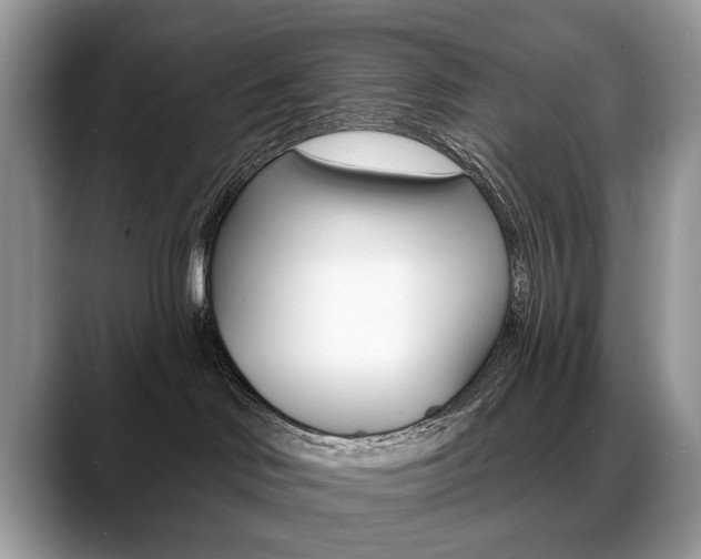 X0000088870046200706080730