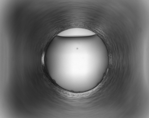 X0000088870047200706080730
