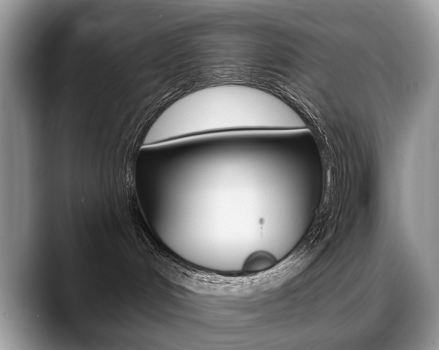 X0000088870048200706080730