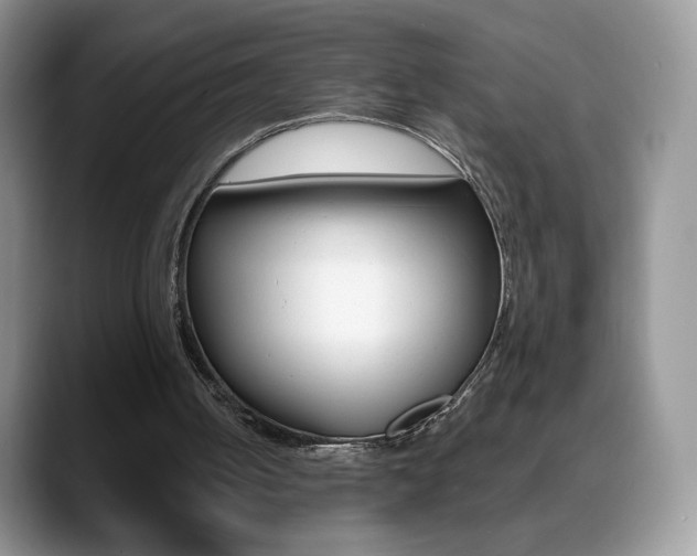 X0000088870050200706080729