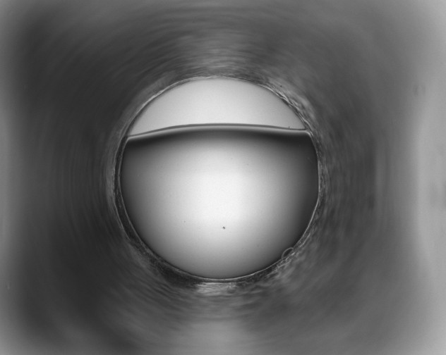 X0000088870051200706080729