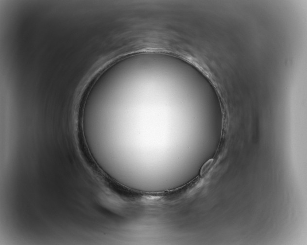 X0000088870055200706080729