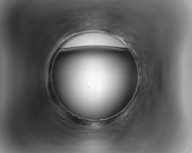 X0000088870056200706080729