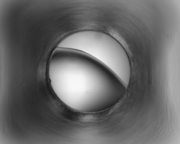 X0000088870058200706080729