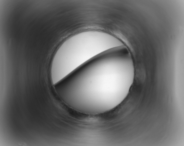 X0000088870063200706080729
