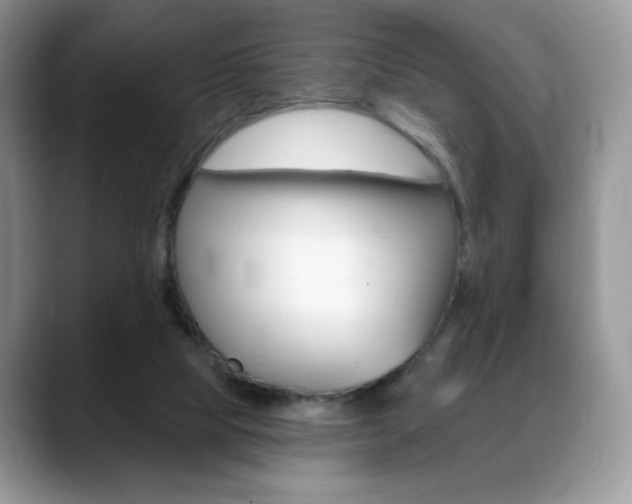 X0000088870065200706080729