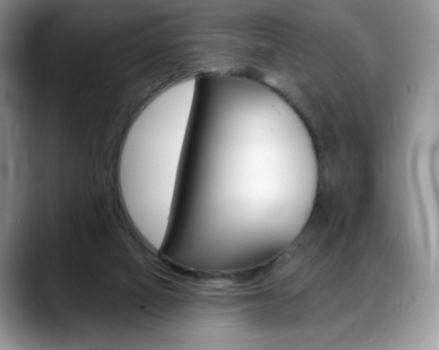 X0000088870066200706080729