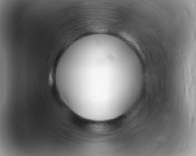 X0000088870069200706080729