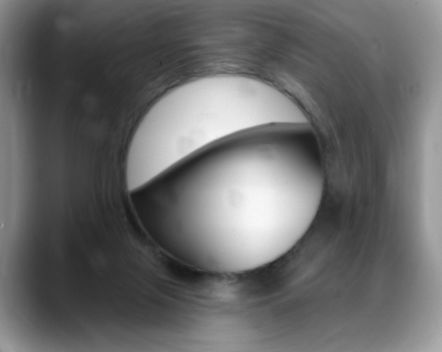 X0000088870071200706080729