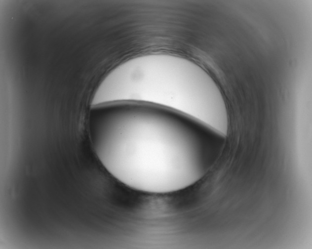 X0000088870073200706080729