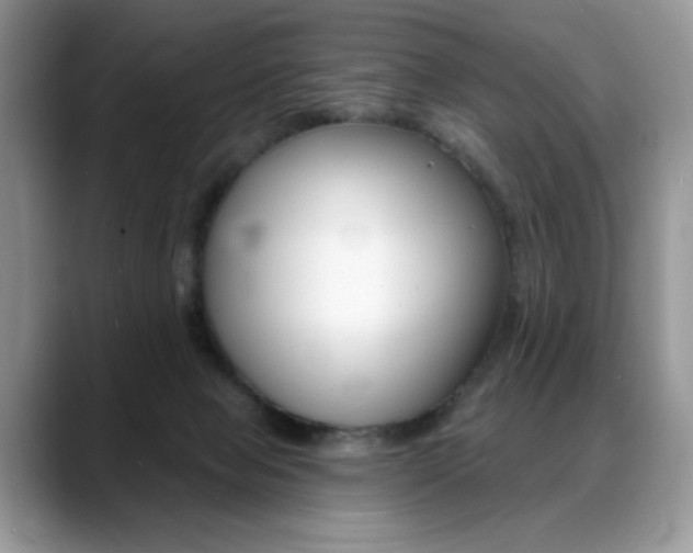 X0000088870077200706080729