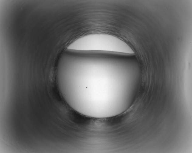 X0000088870078200706080729