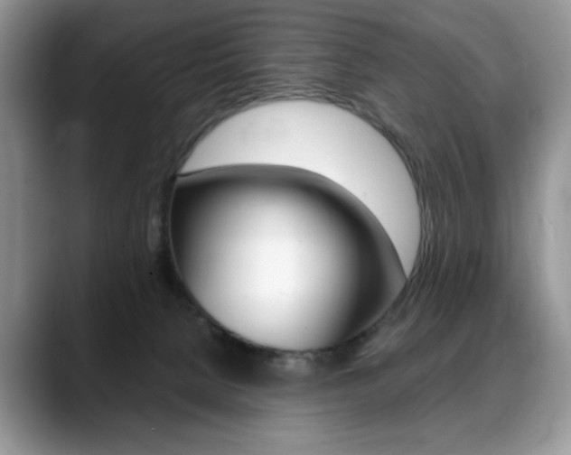 X0000088870080200706080729