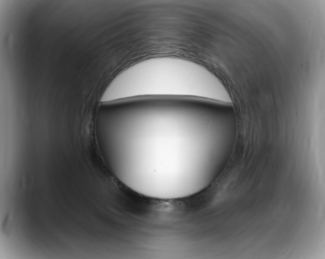 X0000088870083200706080729