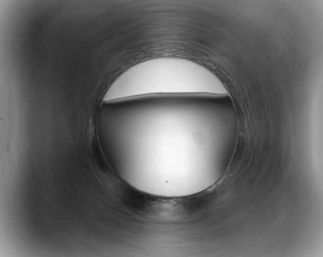 X0000088870086200706080729