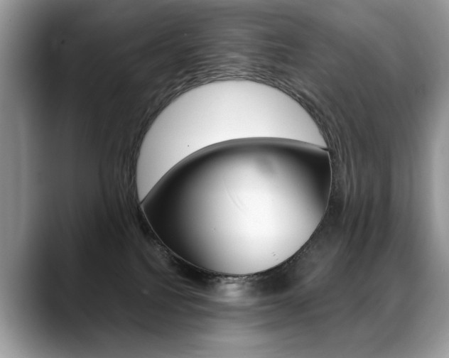 X0000088870088200706080729