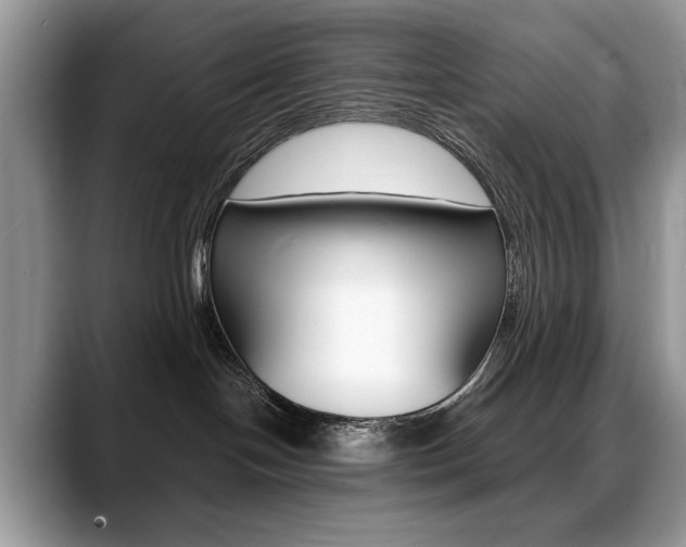 X0000088870094200706080729