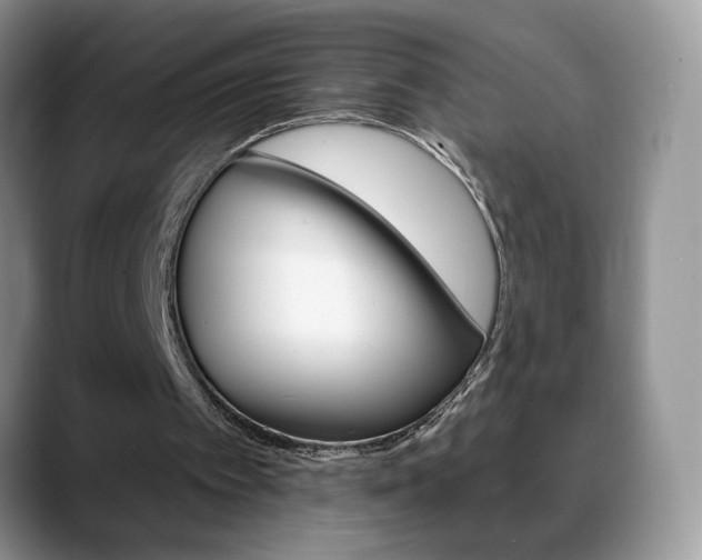 X0000088870097200706080729