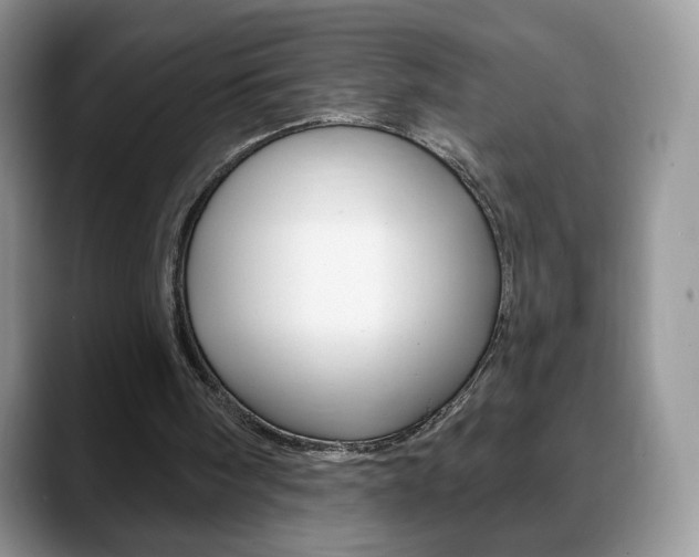 X0000088870098200706080729