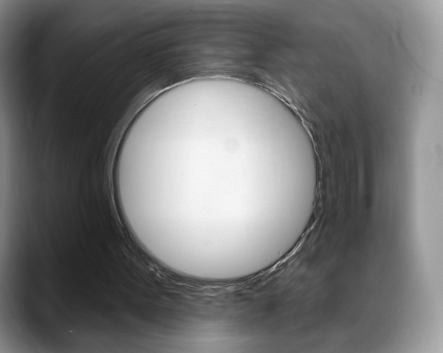 X0000088870099200706080729