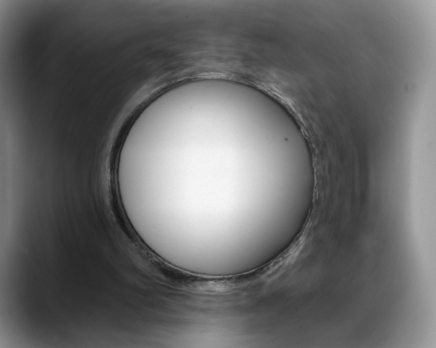 X0000088870102200706080729